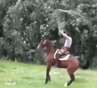 nakurwiam salto!
