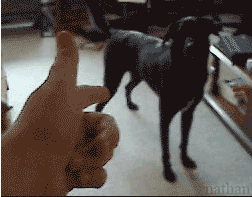 Bang!