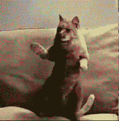 do weekendu niedaleko ... :)