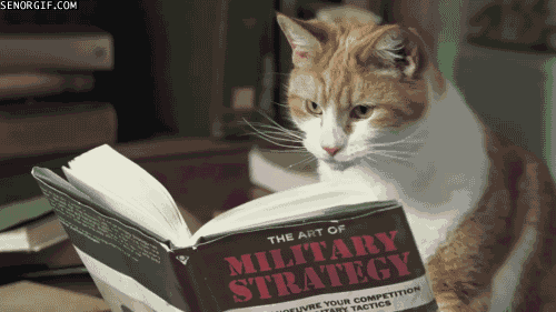 Myszy w niebezpieczeństwie! Kot studiuje strategię!