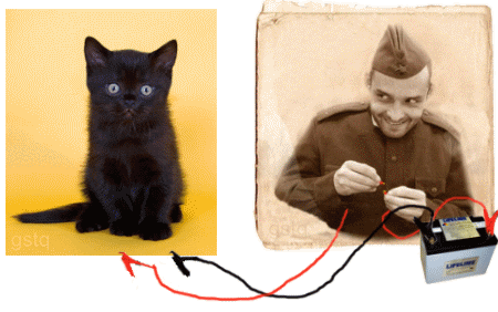 Elektryczny kotek!