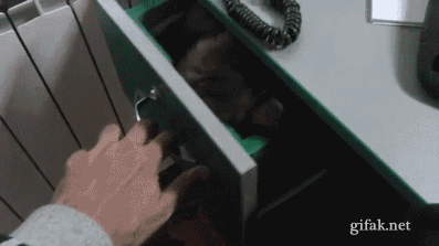 Aaa! Tu się schowałeś!