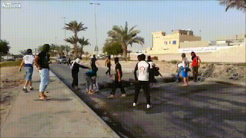 Debili nie sieją...