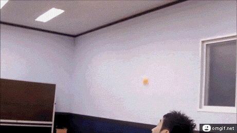 Pingpong master...
